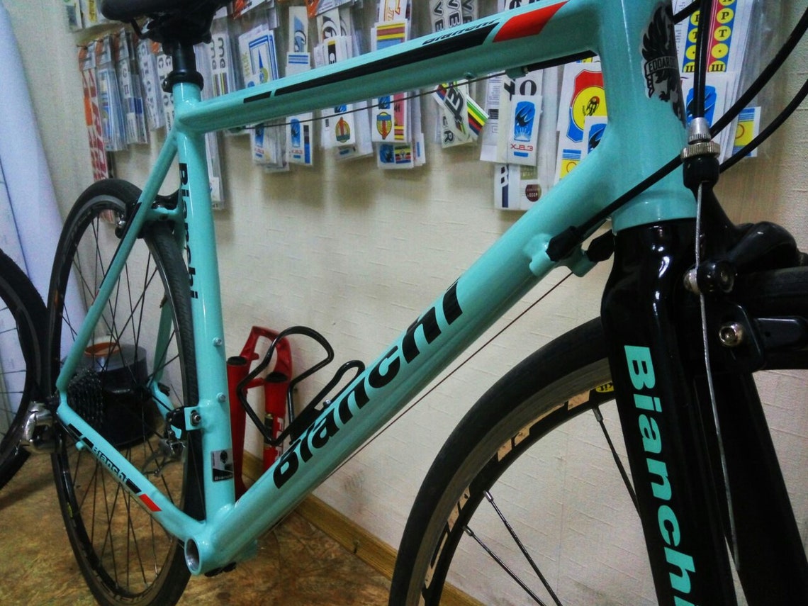 bianchi bike decals