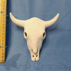 Cow Skull - Paint Your Own Bisque - Made To Order