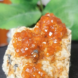 May include: A raw mineral specimen featuring clusters of vibrant orange, translucent, multifaceted crystals embedded in a textured, light beige, rocky matrix. The crystalline formations exhibit a high-gloss finish with sharp, geometric edges.