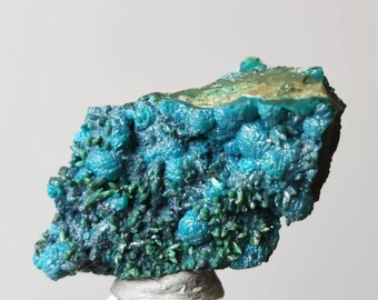 Crysocholla From Gila County Arizona USA