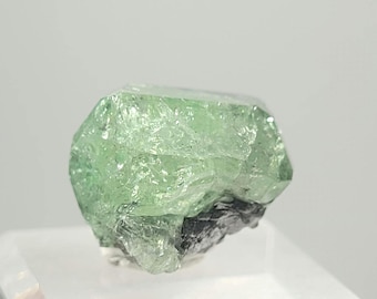 Grenat Tsavorite Vert Éclatant Naturel 1.07 Ct - Ovale 7.3x5 Mm - Tanzanie