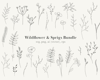 Wildflower Clip Art; Wild flower drawings; Wild flower vectors, botanical vectors, Wild Flower SVG