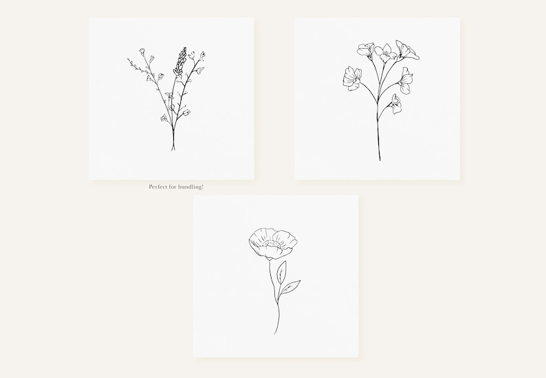 May include: Three black and white line drawings of flowers. The first drawing is of a flower with a long stem and many small flowers. The second drawing is of a flower with a long stem and five flowers. The third drawing is of a flower with a long stem and one large flower.