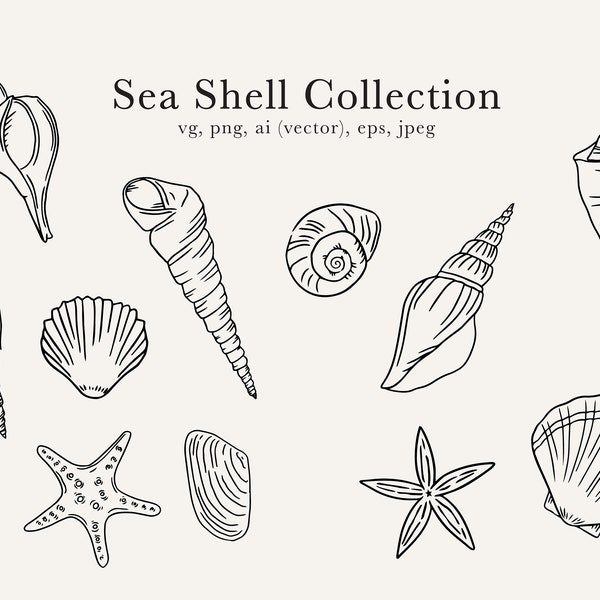 Sea Shell Clip Art, Sea Shell Graphic, Sea Shell SVG, Sea Shell jpeg, Beach graphic, Summer Vectors, Summer Clip Art