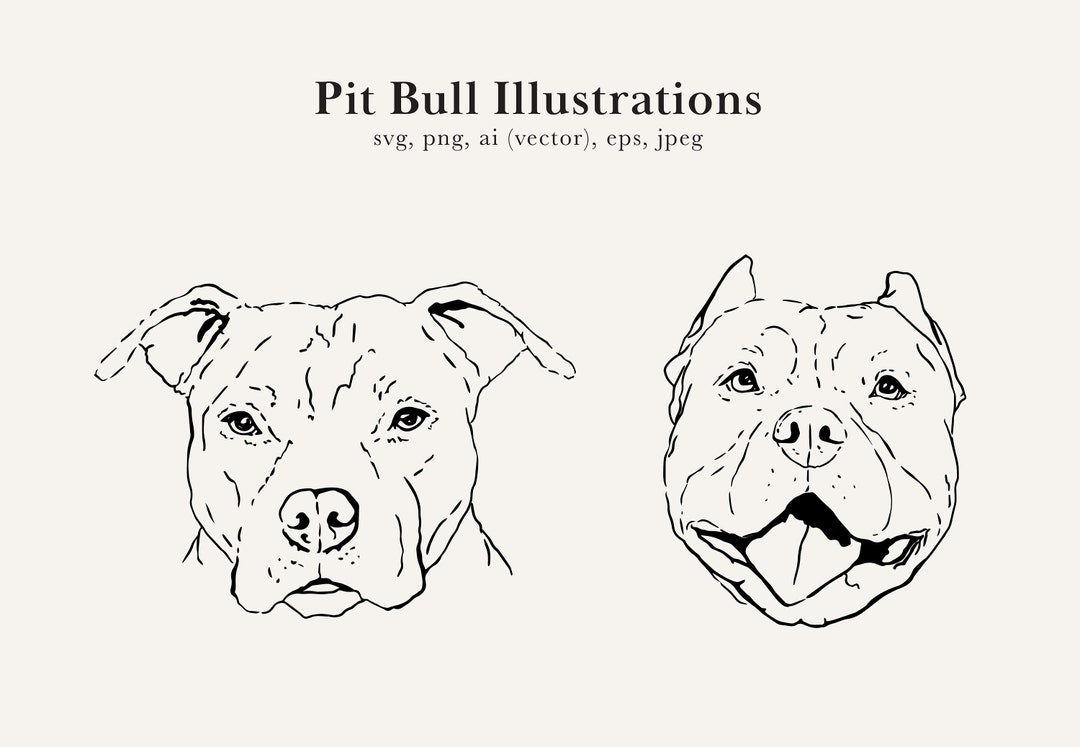 How To Draw A Pitbull Face Easy