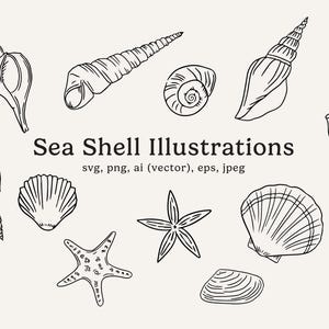 May include: A collection of black and white line art drawings of various seashells and starfish arranged around the text Sea Shell Illustrations svg, png, ai (vector), eps, jpeg. The graphic features detailed outlines of spiral shells, bivalves, and sea stars.