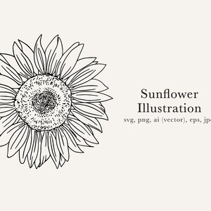 Sonnenblume ClipArt; Sonnenblumenzeichnung; Sonnenblumen Vektoren, Sonnenblume PNG, Sonnenblume detaillierte Zeichnung, Sonnenblume Bild