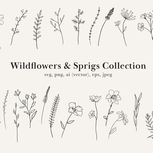 Wildflower Clip Art, Wildflower Tattoo, Wildflower Drawings, Wildflower SVG, Flower Clip Art, Wildflower Vectors, Wild Flower drawing