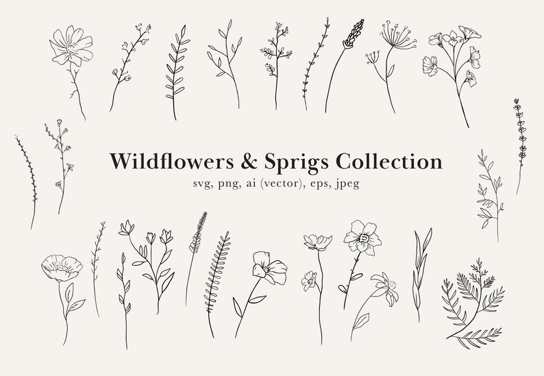 May include: A collection of 20 black and white line drawings of wildflowers and sprigs. The drawings are simple and elegant, and they would be perfect for use in a variety of creative projects.
