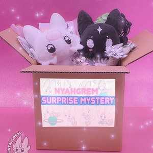 Surprise mystery box image 5