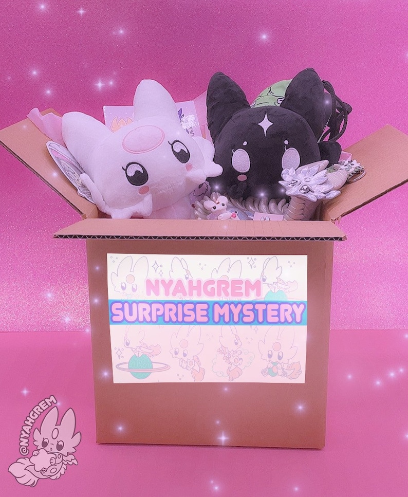 Surprise mystery box image 5