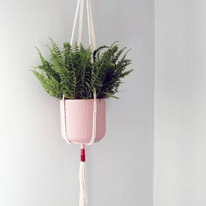 Puede incluir: Una maceta rosa con una planta de helecho verde colgando de un macetero de macramé blanco con detalles rojos.