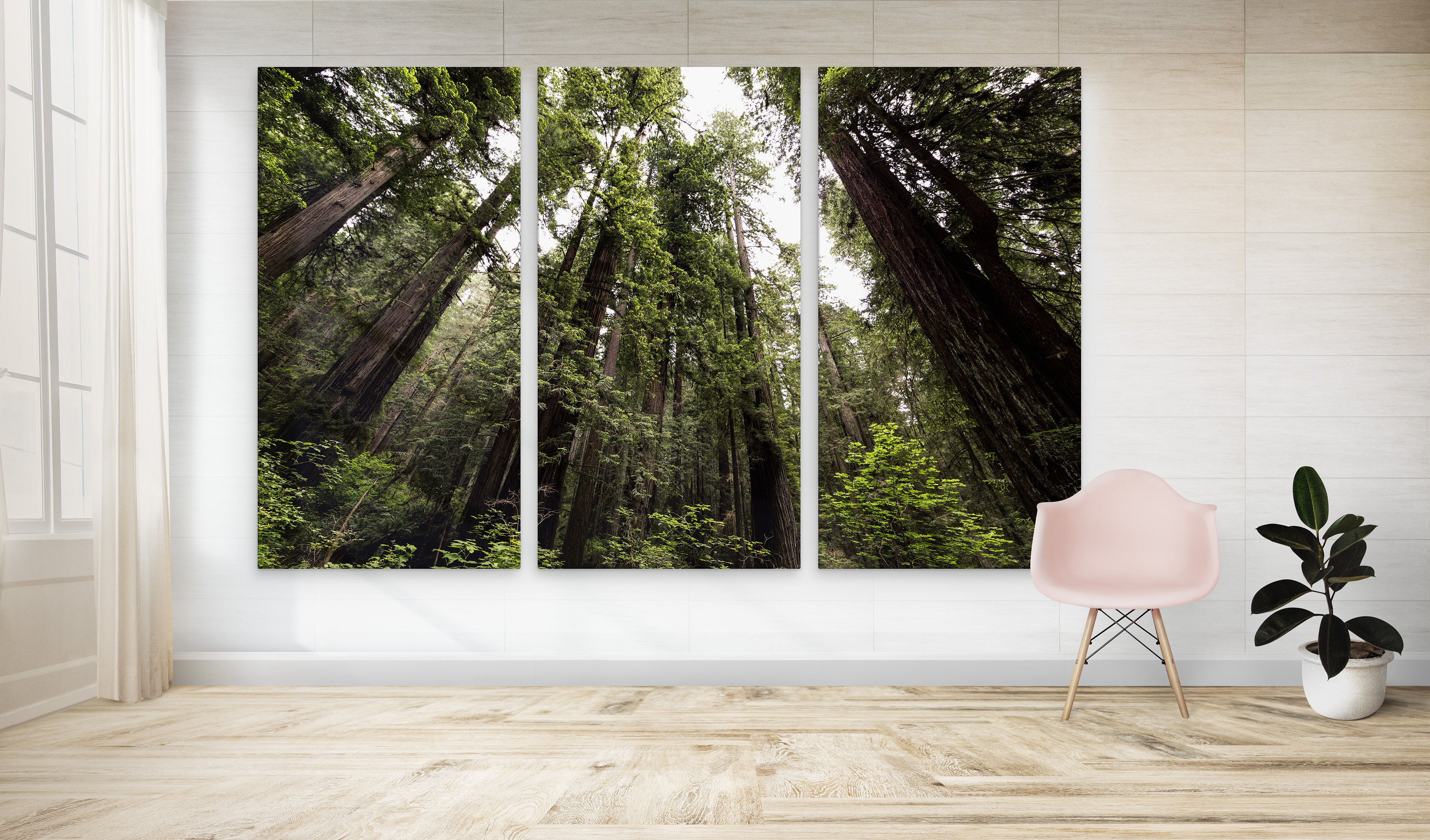 Forest Large Canvas Print Forest Wall Art Decor Forest Etsy
