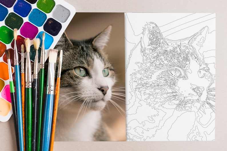 Custom Color by Number Custom Pet Coloring Page Custom Paint Etsy