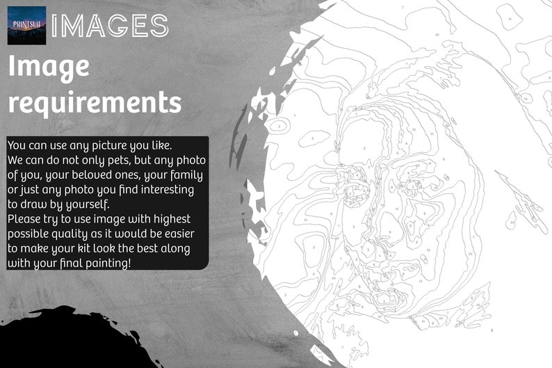 Custom Color by Number Custom Pet Coloring Page Custom Paint Etsy