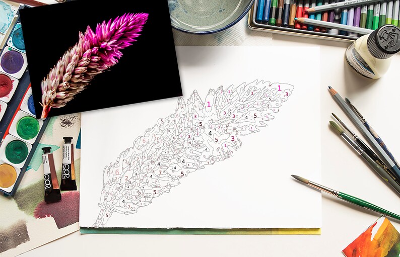 Pink Flower Paint by Number Printable Color by Numbers Kit Etsy