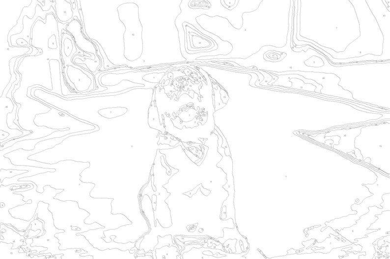 Custom Color by Number Custom Pet Coloring Page Custom Paint Etsy