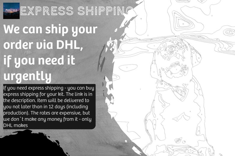 Custom Color by Number Custom Pet Coloring Page Custom Paint Etsy