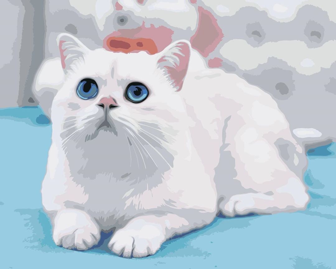 Custom Color by Number Custom Pet Coloring Page Custom Paint Etsy