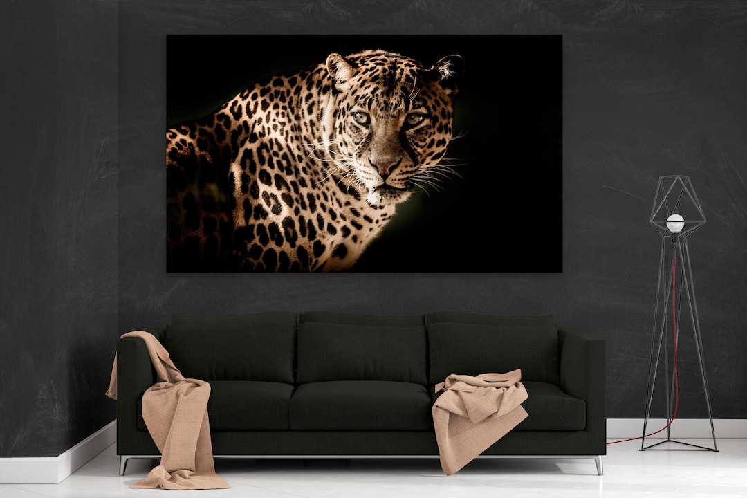toms leopard print canvas