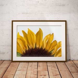 Printable Sunflower Paint by Number, Printable Color by Number Kit ...