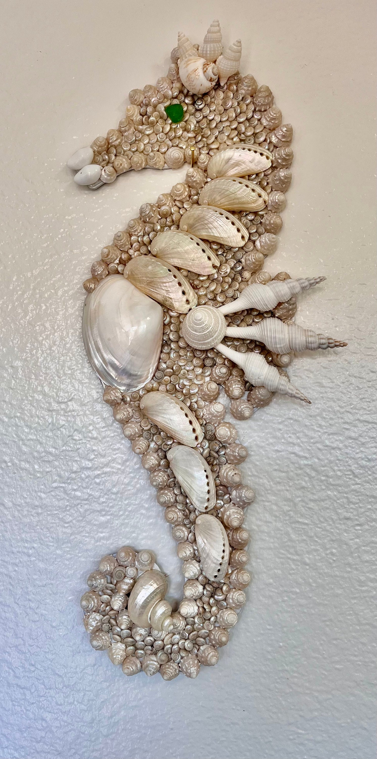 Seahorse Seashells Handmade XL Wall Decor Etsy