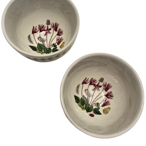 Portmeirion botanische Schüsseln Keramik Set von zwei kleinen Alpenveilchen Muster Schmetterlinge Marienkäfer