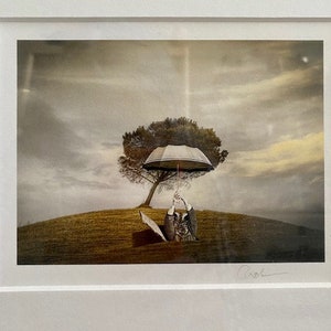 Art Photo Framed Print Signed Double Matted Under Glass John Charbonneau Homeland Security Owl Umbrella