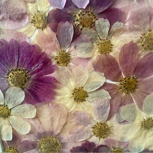 Dried Flower Arrangement Framed Double Matted Under Glass Vintage 90s Gallery Wall Purple