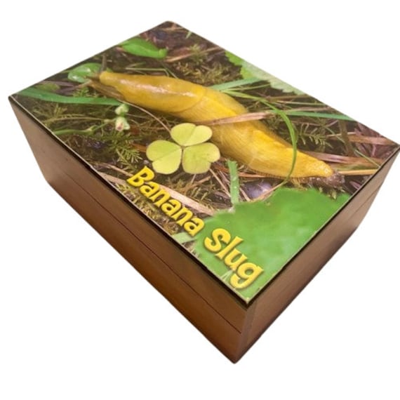 Cedar Trinket Box Banana Slug on Lid Hinged Unique - image 2