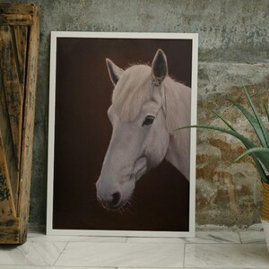 Pferdeportrait