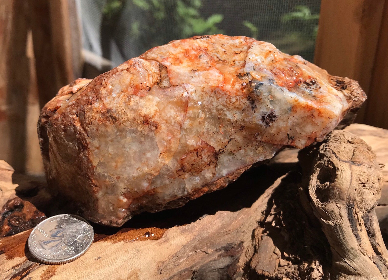 Common Opal FireColored 1lbs. 12oz. Etsy