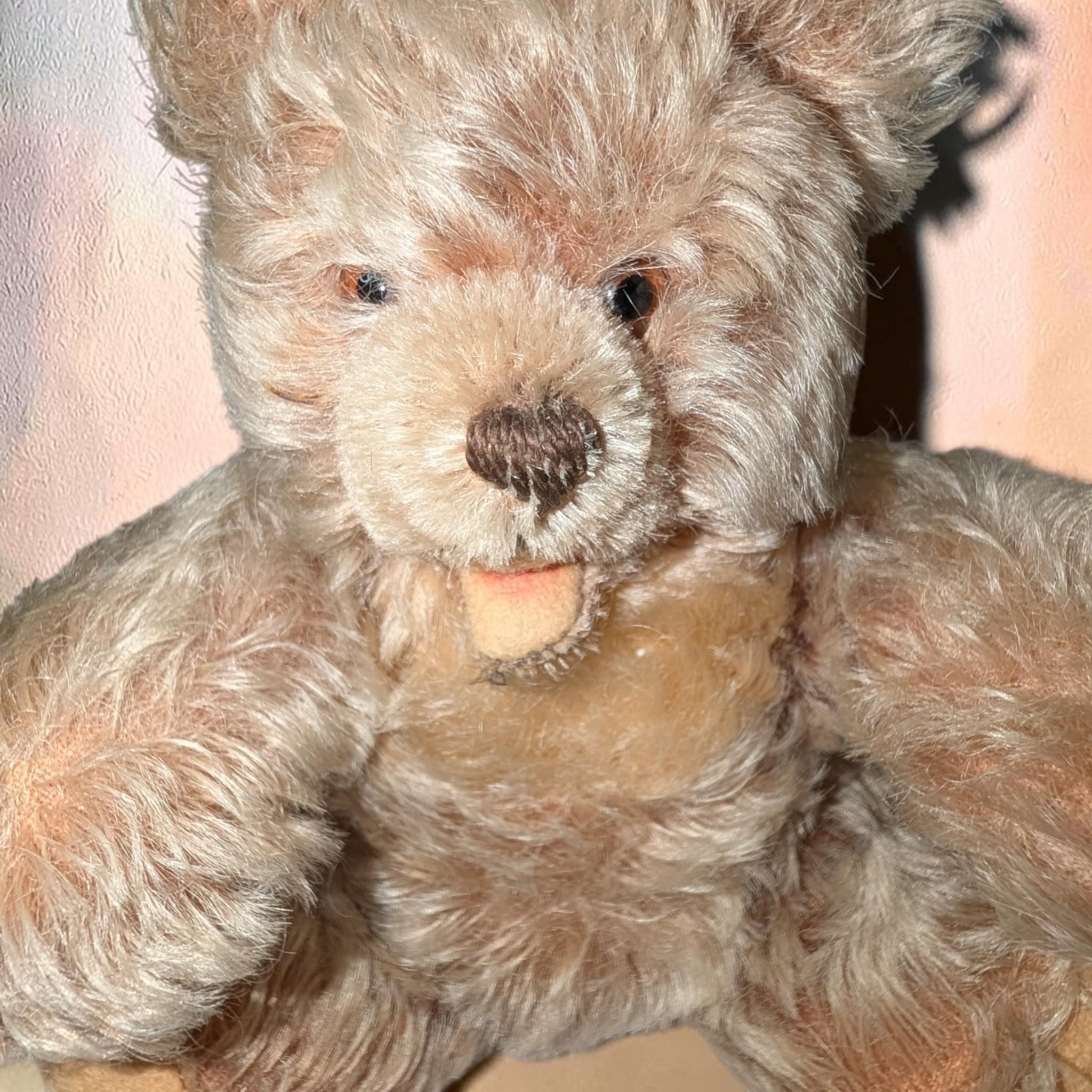 Steiff zotty bear - Etsy 日本