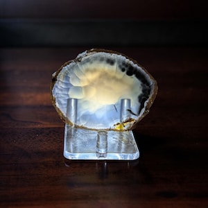 May include: A translucent, circular agate slice with a glowing, cream-colored center and dark, smoky edges. The mineral specimen is held upright by a clear, square acrylic display stand, showcasing its natural banding and crystalline texture.