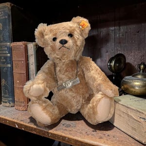 Steiff Growling Bear - Etsy