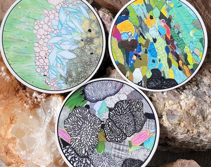 Thin Section Geology Sticker Pack Eclogite - Myrmekite - Clinopyroxene - geoscience - geology gift - science sticker - rock nerd - petrology