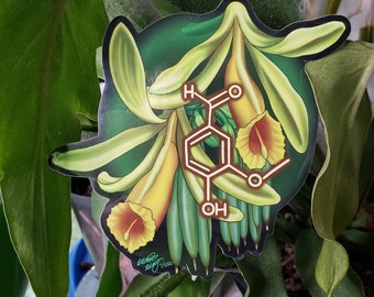 Vanillin Vanilla Orchid Molecule Vinyl Sticker | chemistry | botanical sticker | science sticker | science gift | science art