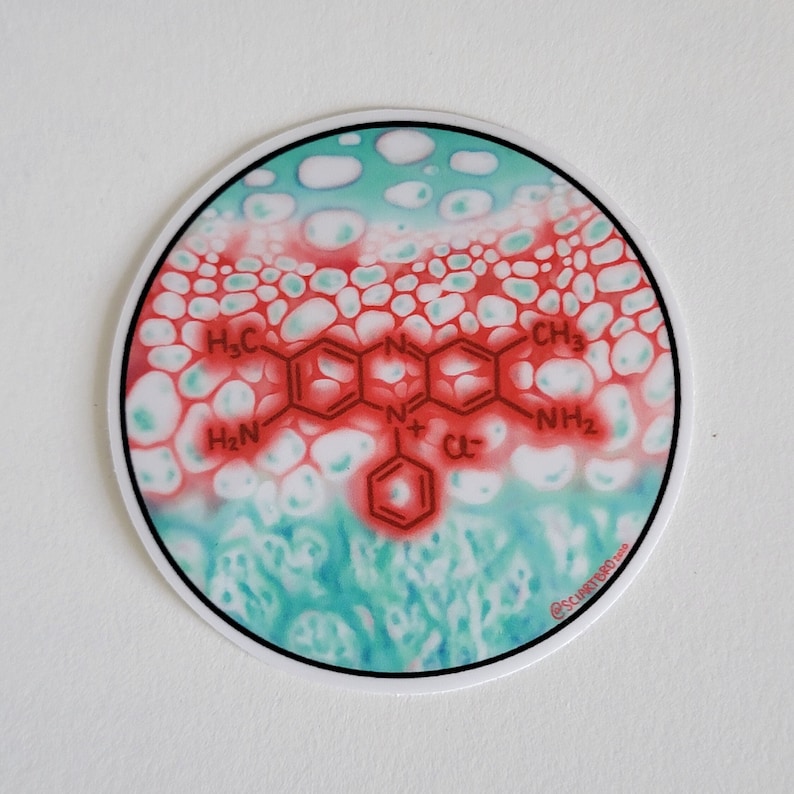 Op de afbeelding: Een ronde sticker met een rood en wit chemisch structuurontwerp tegen een blauw en witte achtergrond. De sticker heeft een zwarte rand en de tekst "@SCIARTBRO 2020" in de rechter benedenhoek.