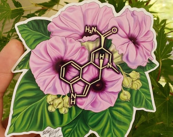 Ergine Molecule Sticker | chemistry sticker | chemistry | science sticker | science gift | psychedelic molecule | flower sticker