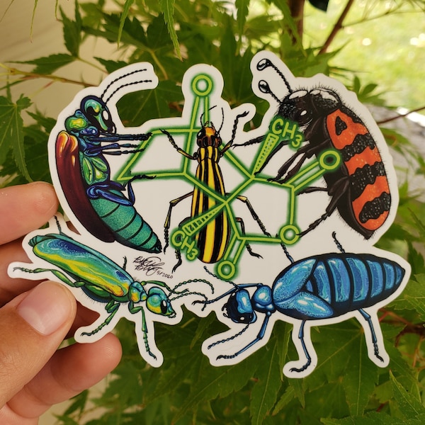Cantharidin Beetle Molecule Sticker | chemistry sticker | entomology | coleoptera | science sticker | science gift