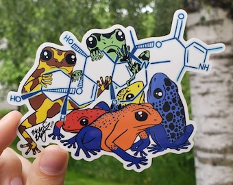 Sticker boomkikker molecuul batrachotoxine | scheikunde | molecuulkunst | giftige molecule | wetenschapssticker | wetenschappelijk cadeau | herpetologie |