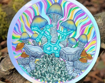 Psilocybine holografische molecuulsticker/paddenstoelsticker/paddenstoelenfanaat/groovy