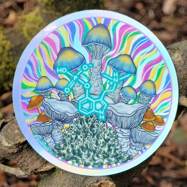 Psilocybin Holographic Molecule Sticker / mushroom sticker / fungi fanatic / groovy