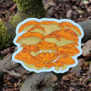 Adesivo in vinile fosforescente con fungo Jack-o'-lantern