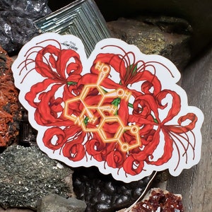 Naklejka winylowa cząsteczka Lycorine Red Spider Lily | naklejka naukowa | chemia | naklejka chemiczna | sztuka botaniczna | alkaloid
