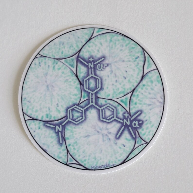 Op de afbeelding: Ronde sticker met een moleculaire structuur in teal en paars, tegen een achtergrond van lichtgroene en witte cirkelvormige vormen. De sticker heeft een witte rand en de tekst "@SQUARTBRO" is zichtbaar.
