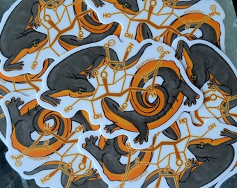 Tetrodotoxin Molecule Rough Skinned Newt Sticker | herpetology | chemistry | science gift | science sticker | amphibian | alkaloid |