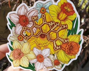Narciclasine Molecule Narcissus Daffodil Sticker | chemistry | alkaloid | science sticker | science gift | botanical art