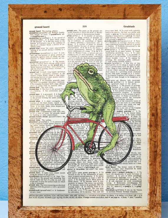 frog and toad bike