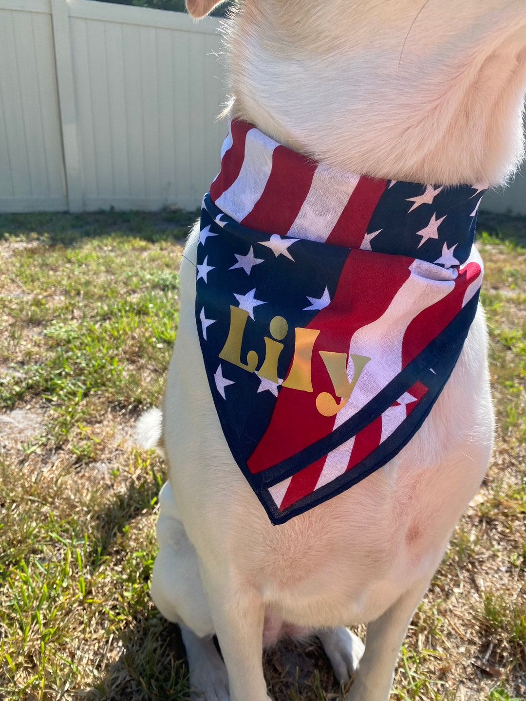 Red White and Blue USA Flag Dog Bandana Etsy